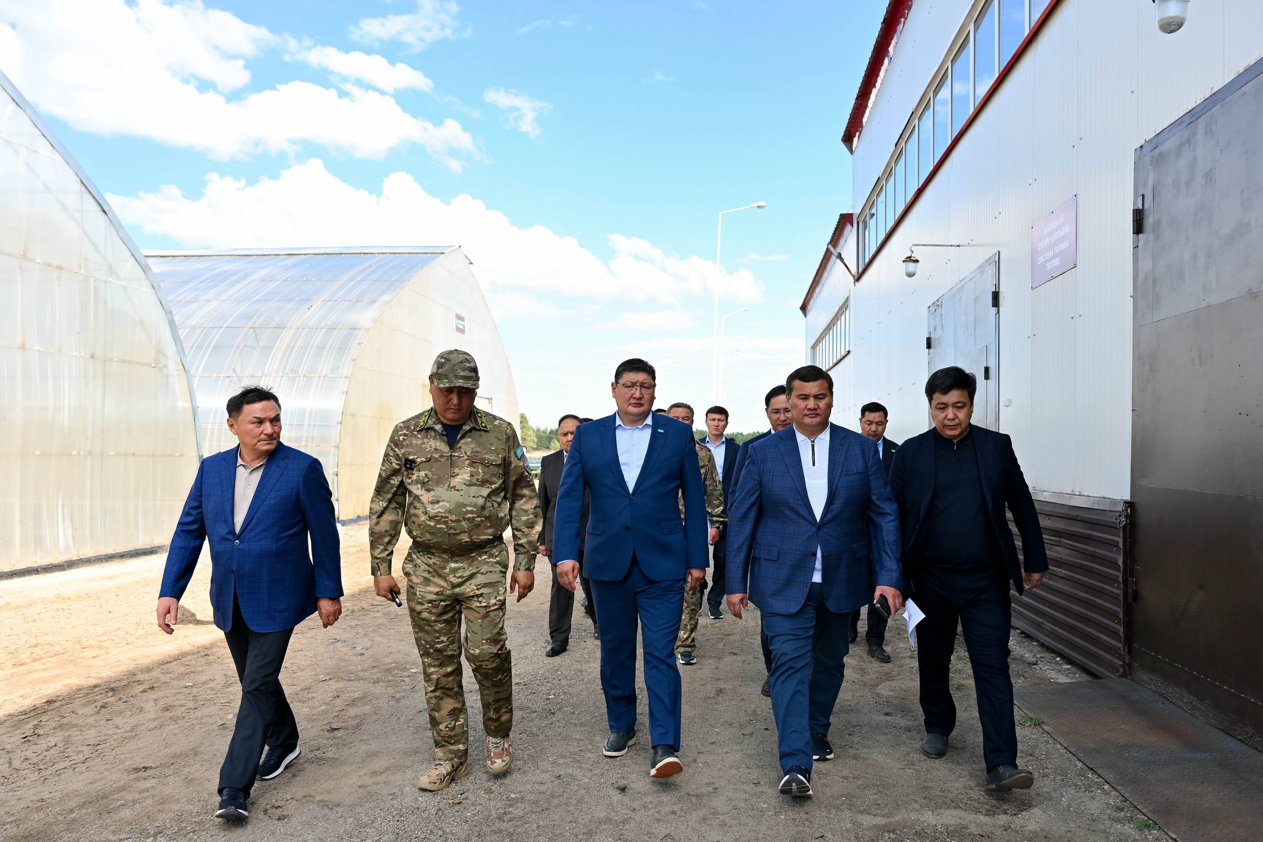 Абай облысындағы тұқымбақта жылына 3 миллионнан астам қарағай көшеті өсіріледі