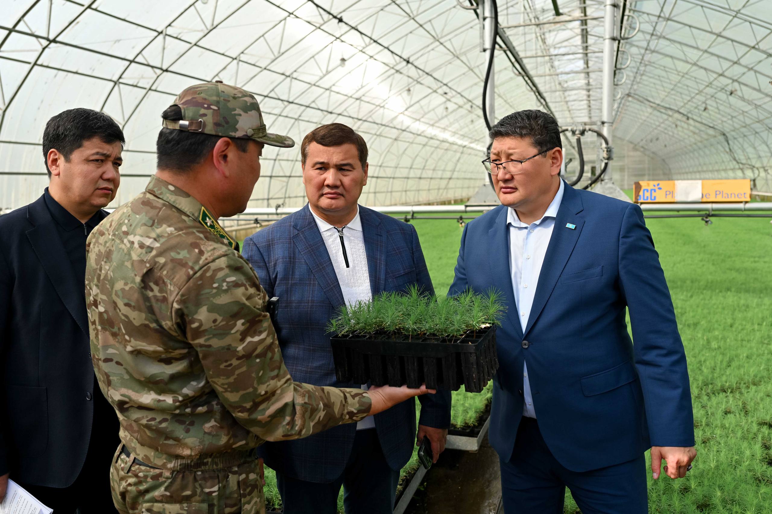Абай облысындағы тұқымбақта жылына 3 миллионнан астам қарағай көшеті өсіріледі