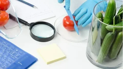 В области Абай пресечены незаконные отказы инвесторам в выдаче фитосанитарных сертификатов