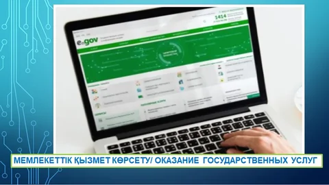 Решение системных проблем при получении государственных услуг: защита прав граждан и повышение качества обслуживания