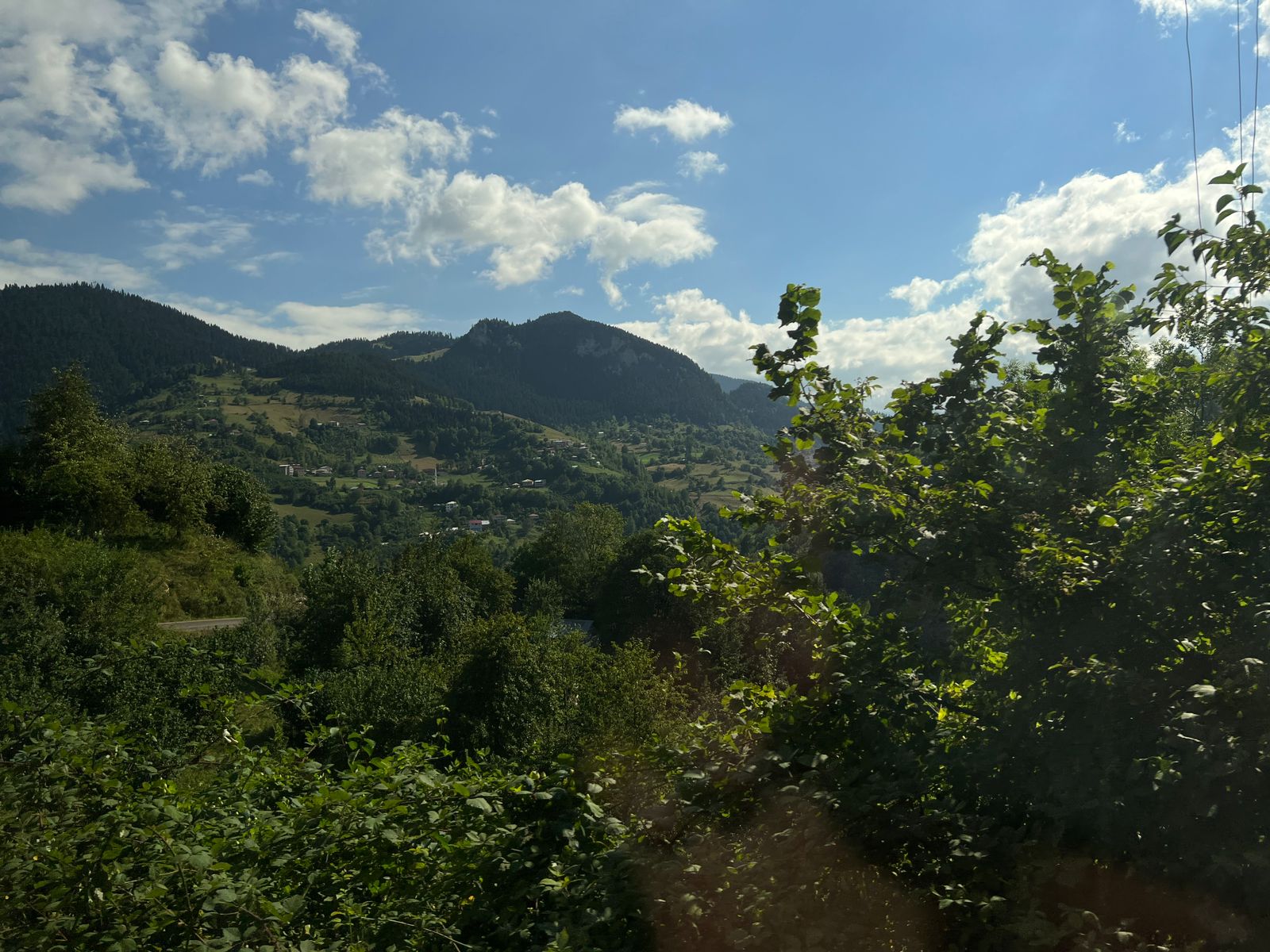 Турецкий фундук