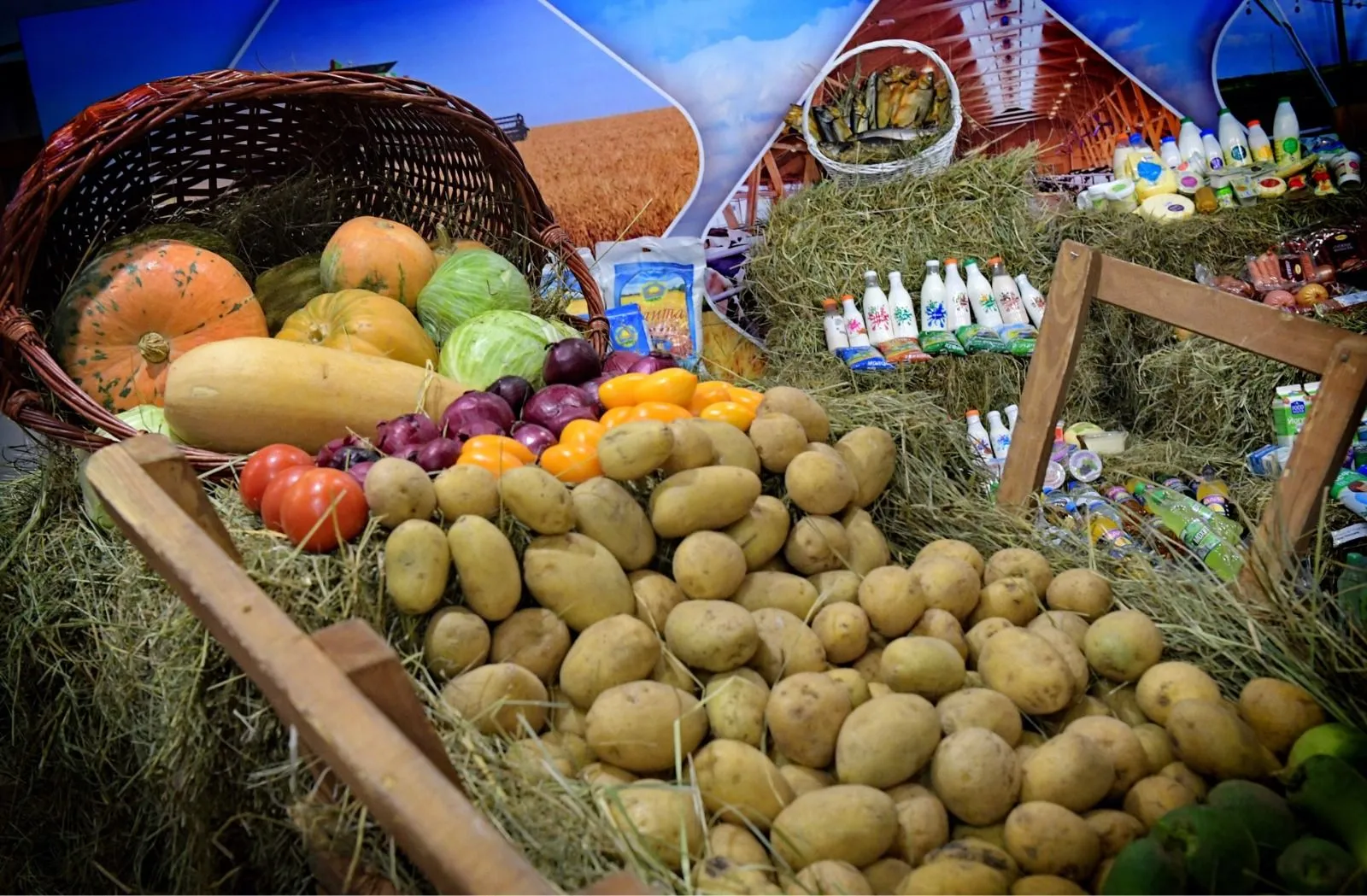 Абай облысында өнім көлемін арттыру жұмыстары жалғасып жатыр