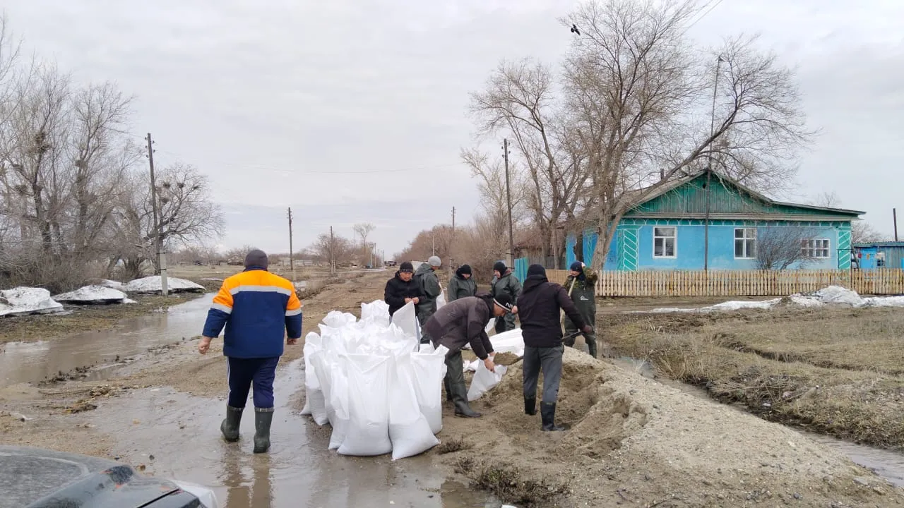 Абай облысының Бородулиха ауданындағы жағдай туралы ақпарат