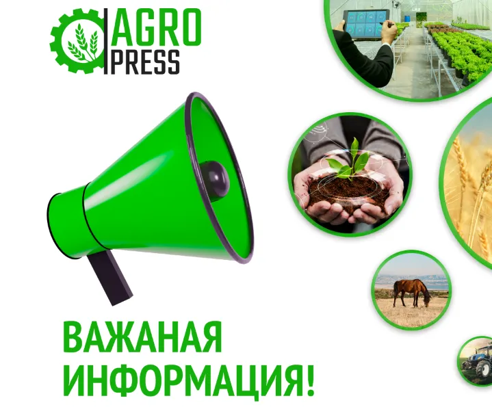 Штаб по противодействию паводкам: организована работа по перемещению скота в безопасные места выпаса