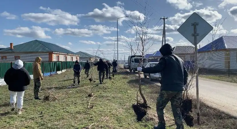 Тазалық отбасынан басталады – «Таза Қазақстан» экологиялық акциясы Абай облысында өтуде 