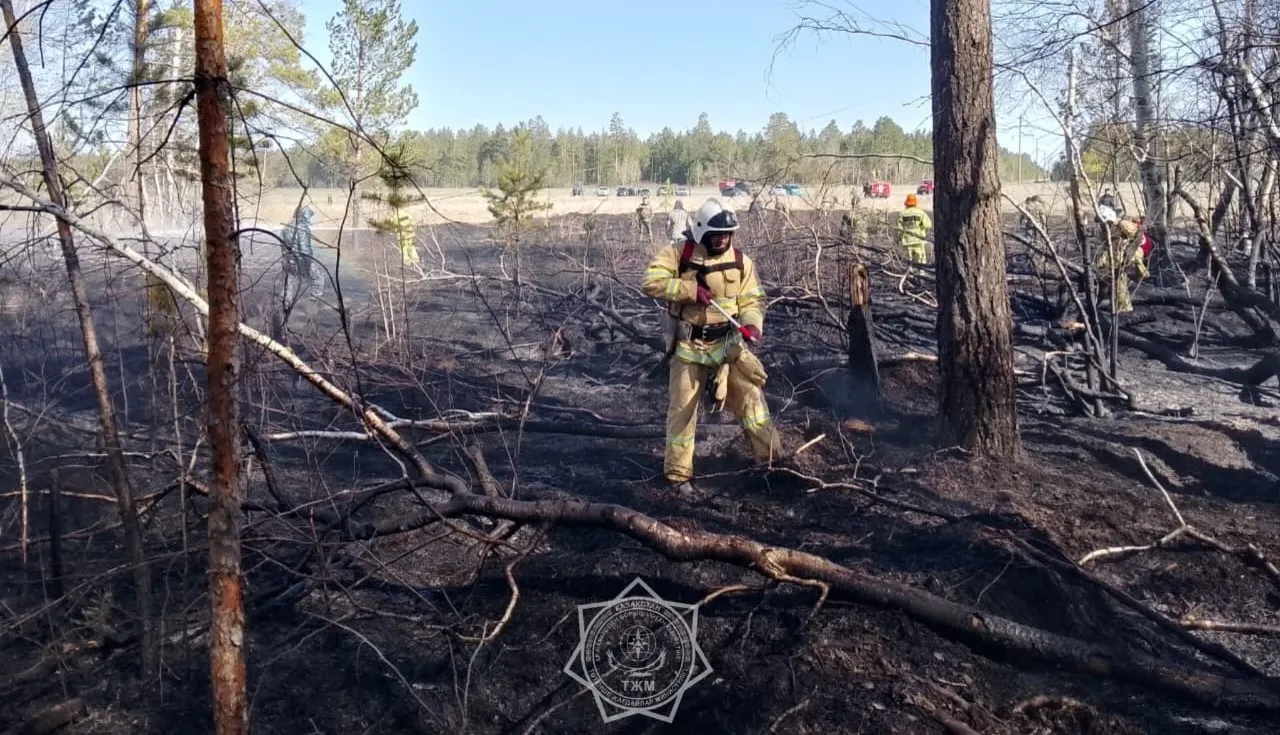 Семейде серіктестіктердің бірінің аумағынан шыққан өрт сөндірілді  