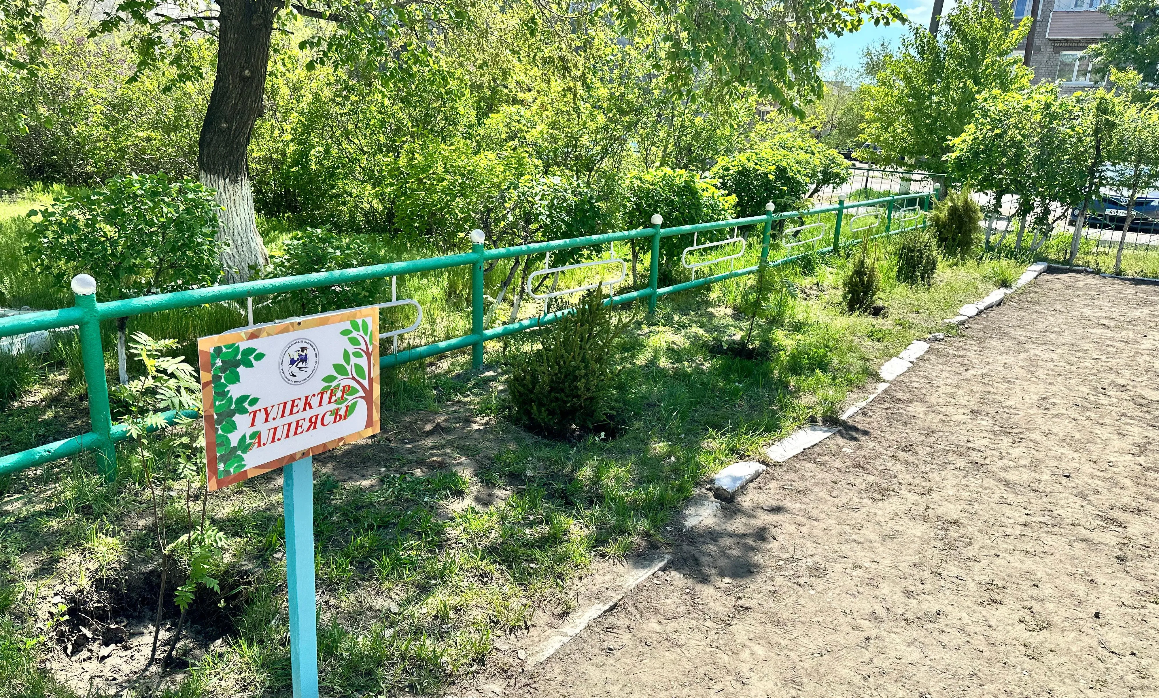 В области Абай около 5 тысяч выпускников приняли участие в республиканском челлендже