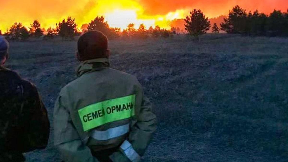 Уголовное дело, связанное с пожаром в Семейском лесу, прекращено