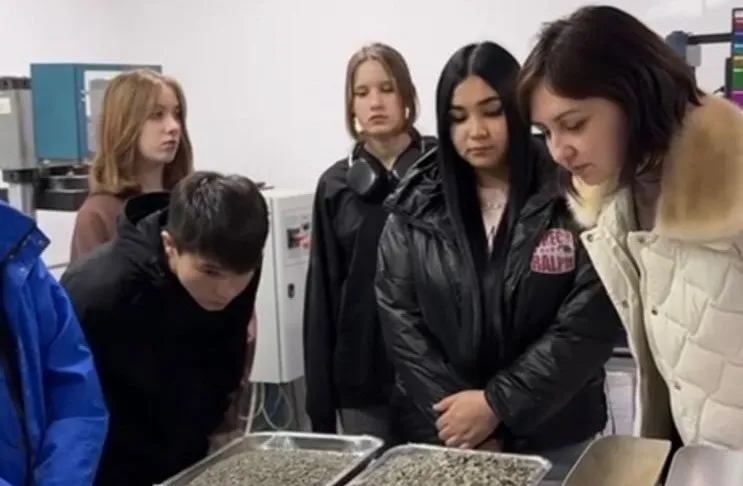 Кәсіптік бағдар: Жолшы мамандығының ерекшеліктері