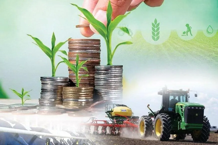 Кредиты под 2,5%: как программа «Ауыл аманаты» помогает сельчанам повышать достаток