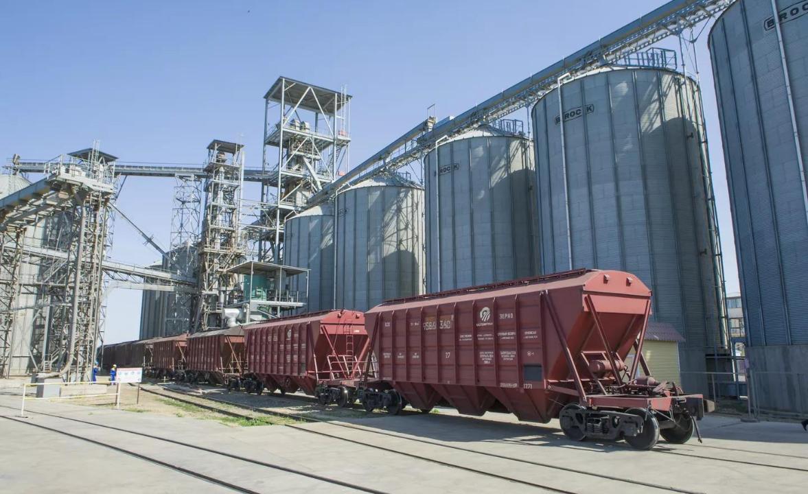 Экспорт зерна нового урожая достиг 7,6 млн тонн: рост на 58%
