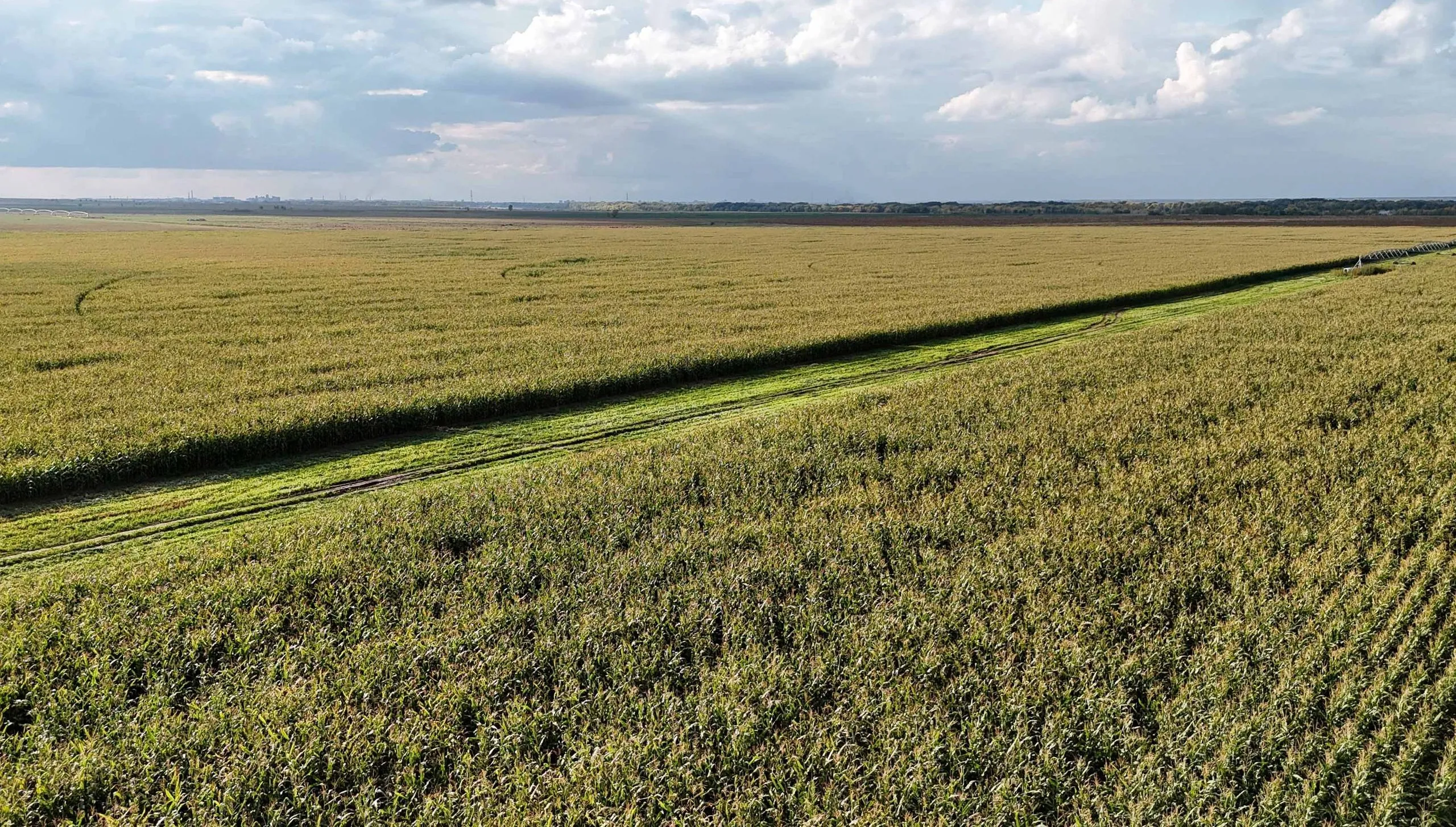 Абай облысында егіс алқабы 22 мың гектарға артты