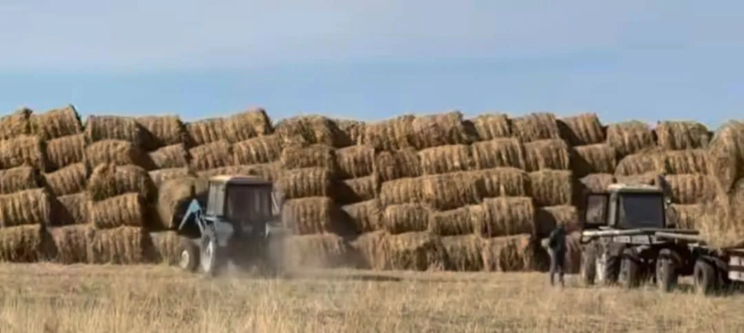 Ақсуат ауданында ауыл шаруашылығы саласын дамытуға бағытталған жаңа жоба іске қосылды