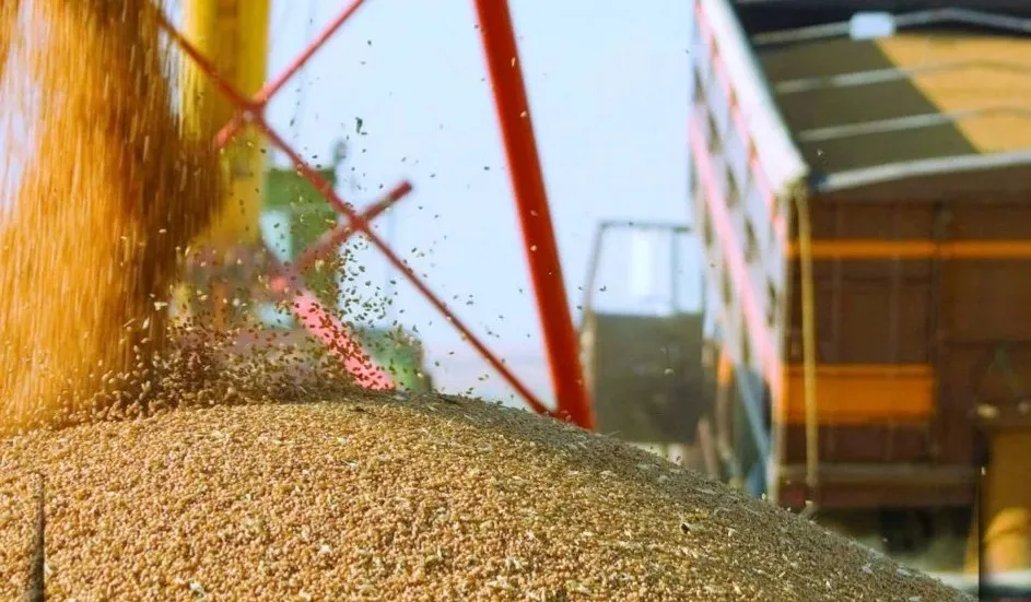 Қазақстан биыл 16 млн гектар алқаптан 27,1 млн тонна астық алды   