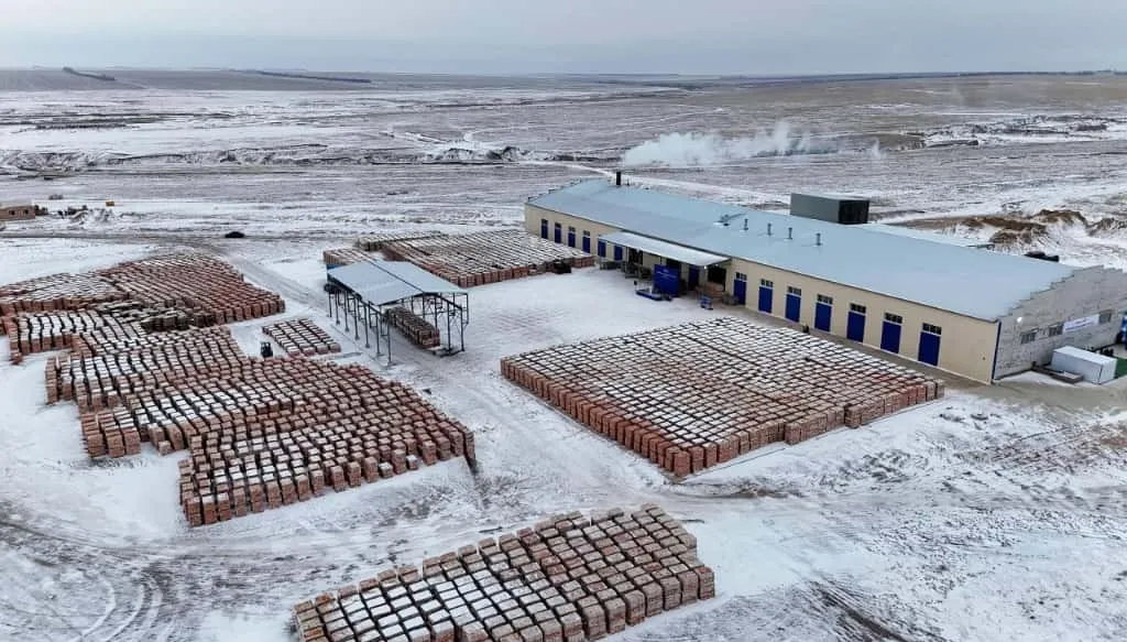 В Бородулихинском районе области Абай запущен кирпичный завод