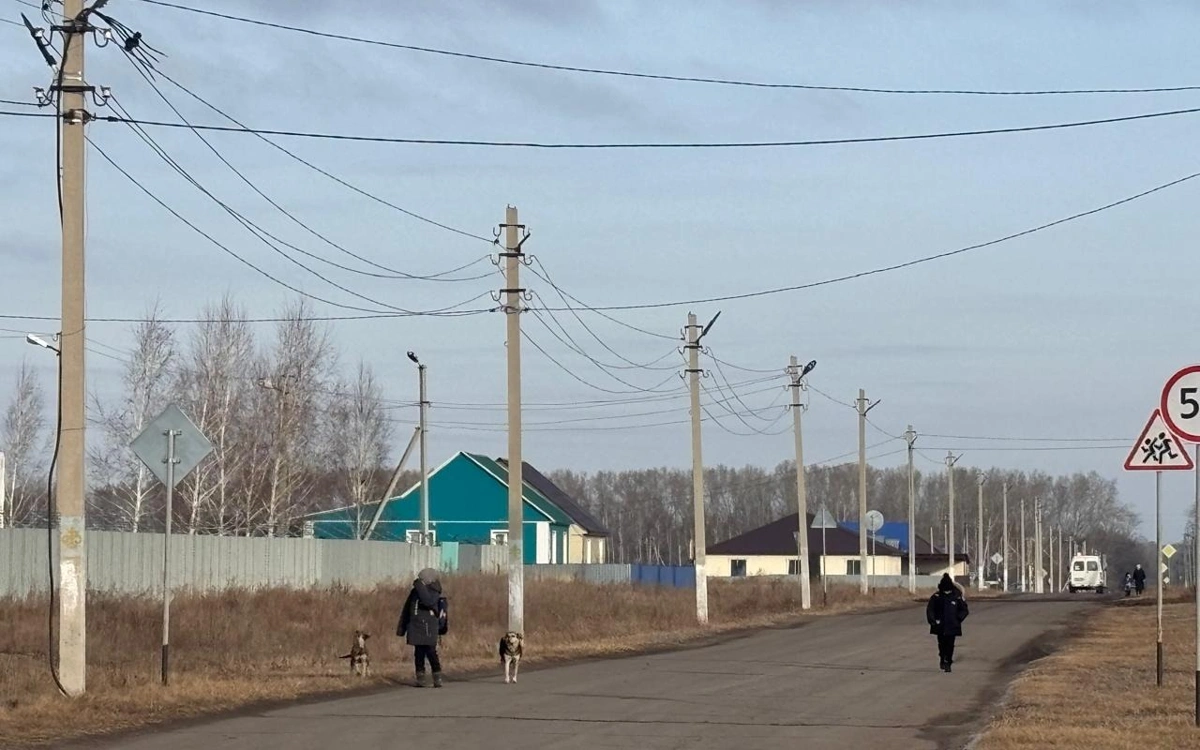 Касым-Жомарт Токаев: Нам необходимо улучшить ситуацию в селе и усилить работу