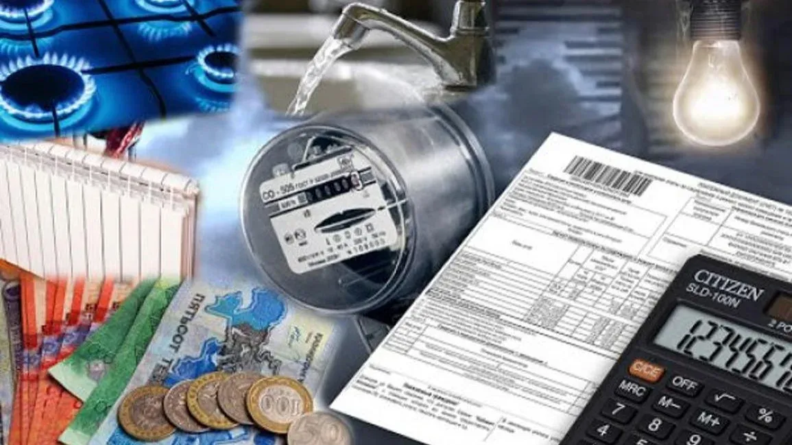 Мемлекет басшысы ресурстарды үнемдеп пайдалануға шақырды  