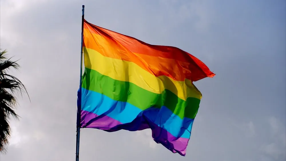 Сенат принял поправки о запрете «пропаганды ЛГБТ» в первом чтении