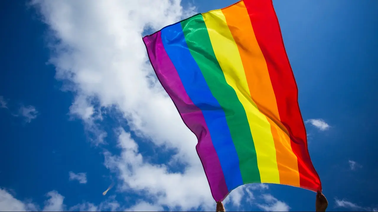 Закон о запрете пропаганды ЛГБТ одобрил сенат в первом чтении