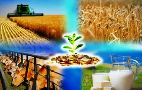 Семей – аграрлық өңдеу және логистика орталығына айналуда