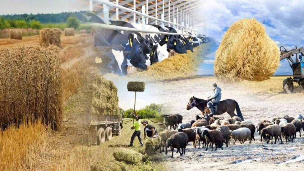 Поддержка Президента в реформировании сельского хозяйства