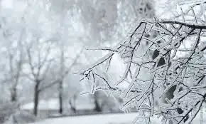 Қазақстанның бірнеше өңірінде 42 градусқа дейін аяз болады