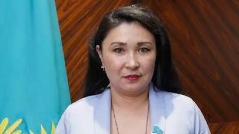 Конституциялық өзгерістердің мемлекет қызметінің болжамдылығы мен дәйектілігіне ықпалы