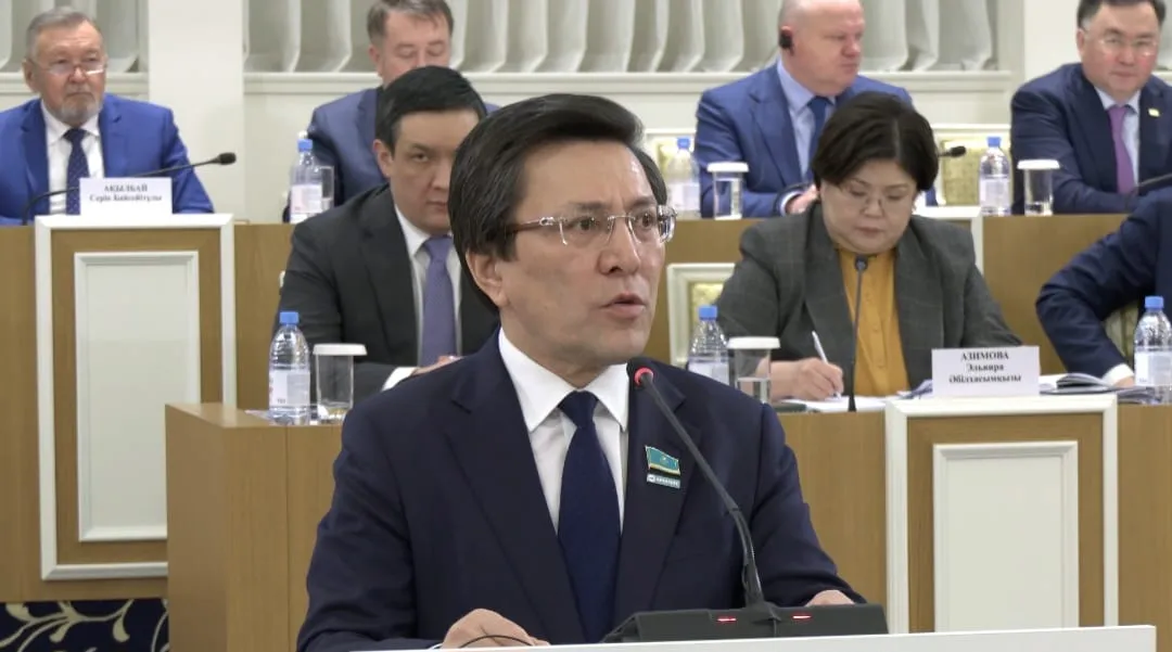 Тенге должен быть защищен Конституцией – Нуртай Сабильянов