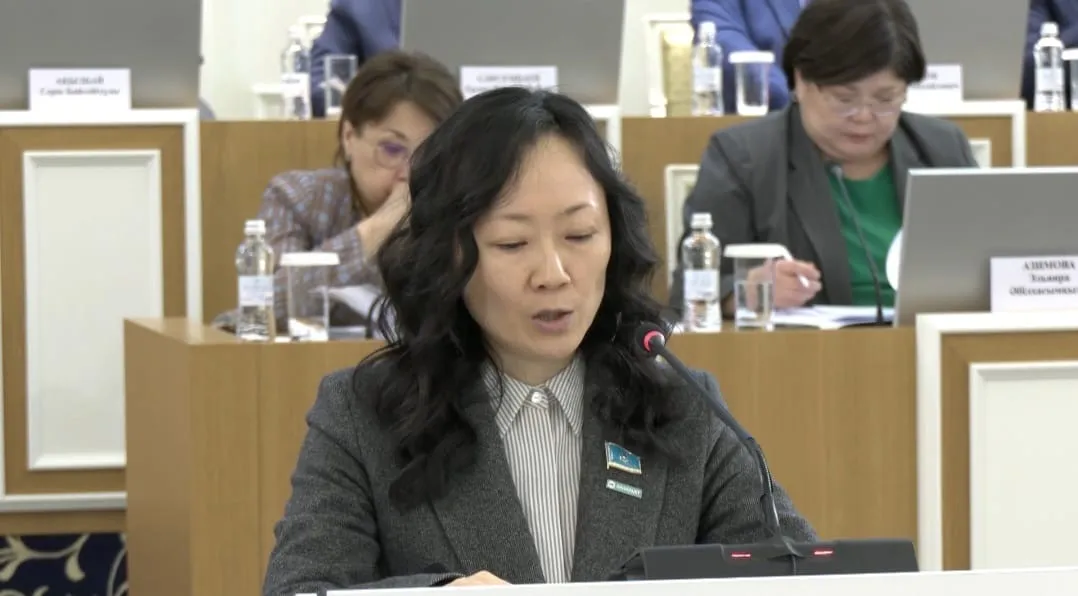 «Волонтерлік» ұғымын Конституцияда бекітуді ұсынылды