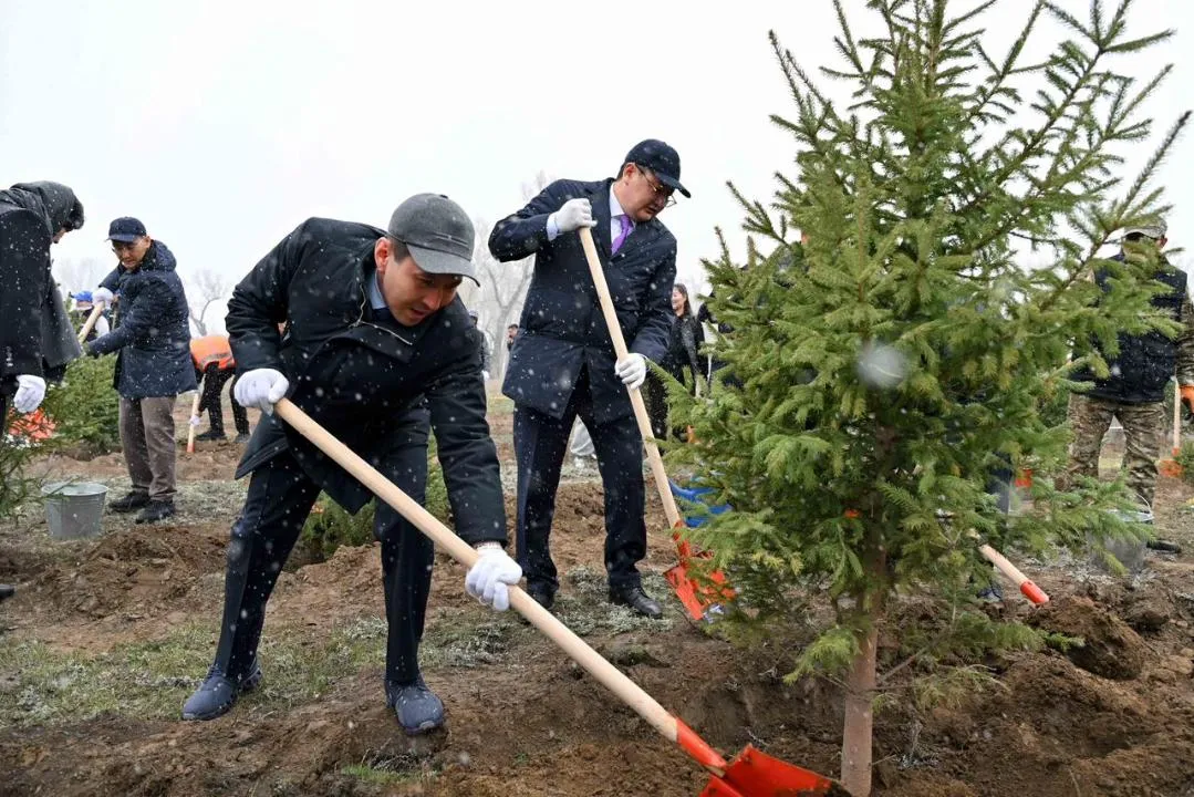Представители фонда «Самрук-Казына» приняли участие в акции по посадке деревьев в Семее