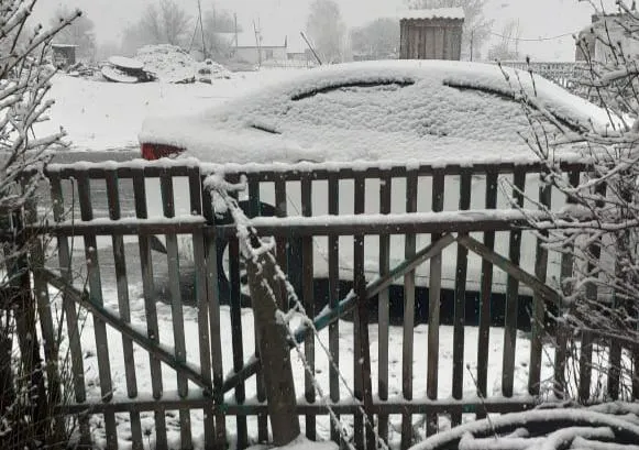 Көктемдегі тосын сый: Абай облысында қар жауды